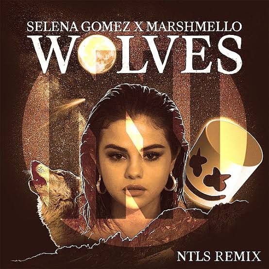 Wolves Lyrics – Marshmello and Selena Gomez