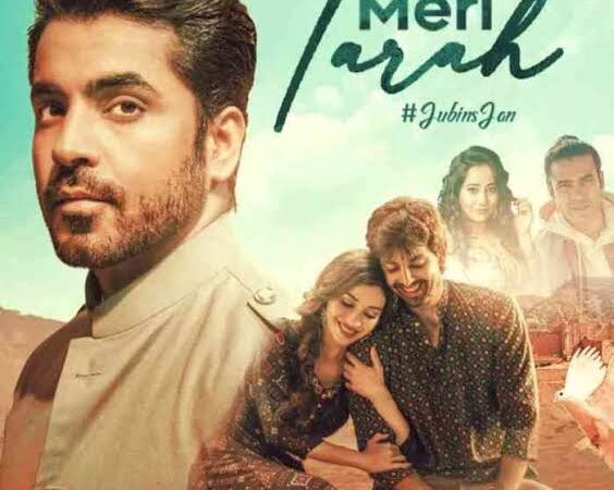 Meri Tarah Lyrics – Jubin Nautiyal, Payal Dev
